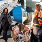 For a day I tried to eat like Donald Trump and Kamala Harris