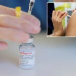 Idaho health department no longer allowed to give out vaccines against COVID-19 - experts say, first